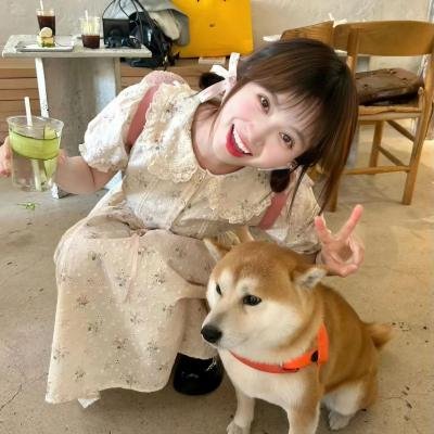 星梦情深